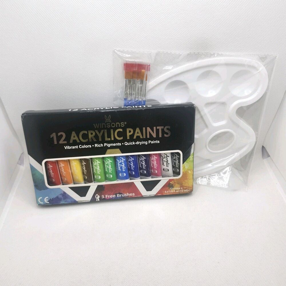 Acrylic Paint Set Kit Canvas Art Paints 12 Colors Palette & Brushes Beginner